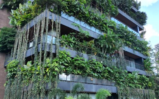 APARTAMENTO DE GRAN FORMATO EN OBRA GRIS – SAN LUCAS