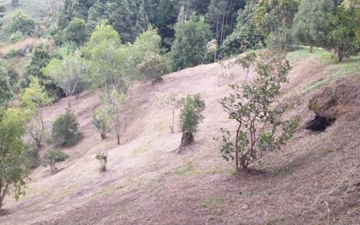 LOTE EN VENTA – VEREDA LA CONVENCIÓN, RIONEGRO