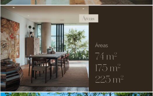 PROYECTO AIRE – SAN LUCAS