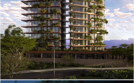 PROYECTO AIRE – SAN LUCAS